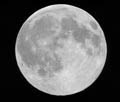 14 day moon vsm.jpg (6382 bytes)
